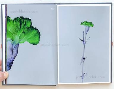 Sample page 16 for book "Lažetić, Tanja – Tanja Lažetić - 100 Flowers" Sample page 16 for book "Lažetić, Tanja – Tanja Lažetić - 100 Flowers"