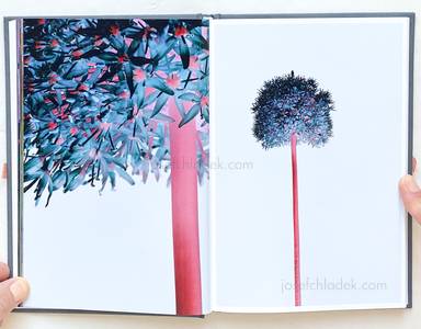 Sample page 14 for book "Lažetić, Tanja – Tanja Lažetić - 100 Flowers" Sample page 14 for book "Lažetić, Tanja – Tanja Lažetić - 100 Flowers"