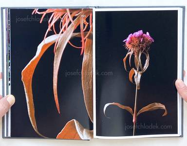 Sample page 13 for book "Lažetić, Tanja – Tanja Lažetić - 100 Flowers" Sample page 13 for book "Lažetić, Tanja – Tanja Lažetić - 100 Flowers"