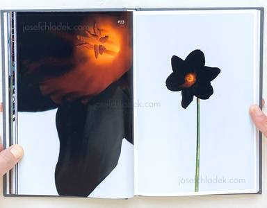 Sample page 11 for book "Lažetić, Tanja – Tanja Lažetić - 100 Flowers" Sample page 11 for book "Lažetić, Tanja – Tanja Lažetić - 100 Flowers"