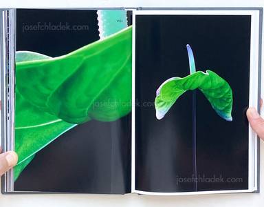 Sample page 7 for book "Lažetić, Tanja – Tanja Lažetić - 100 Flowers" Sample page 7 for book "Lažetić, Tanja – Tanja Lažetić - 100 Flowers"