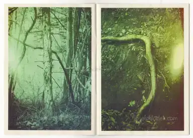 Sample page 8 for book "Yokota, Daisuke – Daisuke Yokota - Water Side" Sample page 8 for book "Yokota, Daisuke – Daisuke Yokota - Water Side"