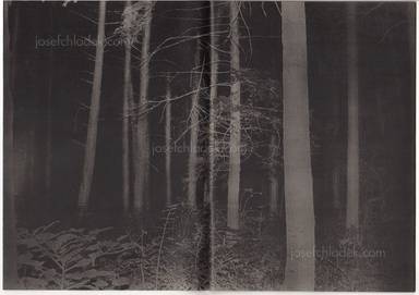 Sample page 10 for book "Yokota, Daisuke – Daisuke Yokota - Back Yard" Sample page 10 for book "Yokota, Daisuke – Daisuke Yokota - Back Yard"