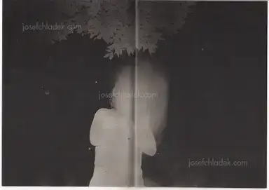 Sample page 8 for book "Yokota, Daisuke – Daisuke Yokota - Back Yard" Sample page 8 for book "Yokota, Daisuke – Daisuke Yokota - Back Yard"