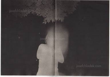 Sample page 4 for book  Daisuke Yokota – Back Yard
