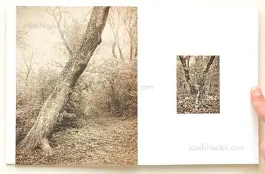 Sample page 15 for book "Anzenberger, Regina – Regina Anzenberger - Roots & Bonds (2nd ed. + extra booklet)" Sample page 15 for book "Anzenberger, Regina – Regina Anzenberger - Roots & Bonds (2nd ed. + extra booklet)"