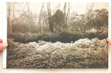 Sample page 13 for book "Anzenberger, Regina – Regina Anzenberger - Roots & Bonds (2nd ed. + extra booklet)" Sample page 13 for book "Anzenberger, Regina – Regina Anzenberger - Roots & Bonds (2nd ed. + extra booklet)"