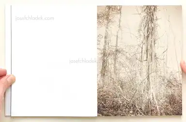 Sample page 12 for book "Anzenberger, Regina – Regina Anzenberger - Roots & Bonds (2nd ed. + extra booklet)" Sample page 12 for book "Anzenberger, Regina – Regina Anzenberger - Roots & Bonds (2nd ed. + extra booklet)"