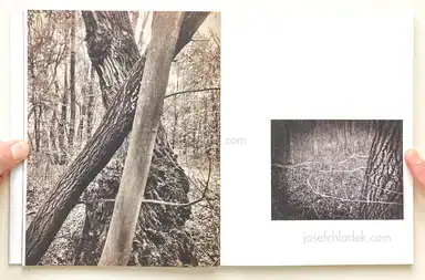 Sample page 10 for book "Anzenberger, Regina – Regina Anzenberger - Roots & Bonds (2nd ed. + extra booklet)" Sample page 10 for book "Anzenberger, Regina – Regina Anzenberger - Roots & Bonds (2nd ed. + extra booklet)"