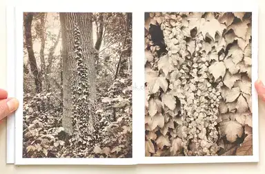 Sample page 8 for book "Anzenberger, Regina – Regina Anzenberger - Roots & Bonds (2nd ed. + extra booklet)" Sample page 8 for book "Anzenberger, Regina – Regina Anzenberger - Roots & Bonds (2nd ed. + extra booklet)"