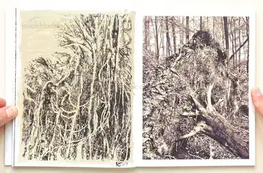 Sample page 6 for book "Anzenberger, Regina – Regina Anzenberger - Roots & Bonds (2nd ed. + extra booklet)" Sample page 6 for book "Anzenberger, Regina – Regina Anzenberger - Roots & Bonds (2nd ed. + extra booklet)"