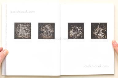 Sample page 13 for book  Regina Anzenberger – Roots & Bonds (2nd ed. + extra booklet)