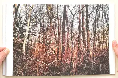 Sample page 3 for book "Anzenberger, Regina – Regina Anzenberger - Roots & Bonds (2nd ed. + extra booklet)" Sample page 3 for book "Anzenberger, Regina – Regina Anzenberger - Roots & Bonds (2nd ed. + extra booklet)"