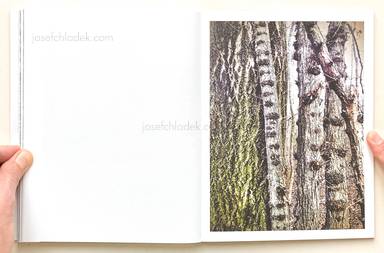 Sample page 16 for book  Regina Anzenberger – Roots & Bonds (2nd ed. + extra booklet)