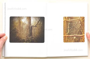 Sample page 17 for book  Regina Anzenberger – Roots & Bonds (2nd ed. + extra booklet)