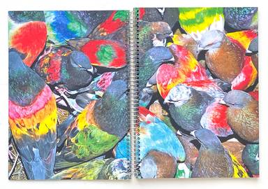 Sample page 16 for book "Cases, Ricardo – Ricardo Cases - Paloma al Aire" Sample page 16 for book "Cases, Ricardo – Ricardo Cases - Paloma al Aire"