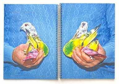 Sample page 14 for book "Cases, Ricardo – Ricardo Cases - Paloma al Aire" Sample page 14 for book "Cases, Ricardo – Ricardo Cases - Paloma al Aire"