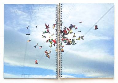 Sample page 13 for book "Cases, Ricardo – Ricardo Cases - Paloma al Aire" Sample page 13 for book "Cases, Ricardo – Ricardo Cases - Paloma al Aire"