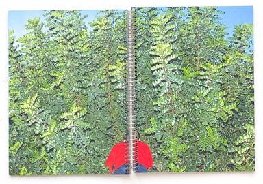 Sample page 12 for book "Cases, Ricardo – Ricardo Cases - Paloma al Aire" Sample page 12 for book "Cases, Ricardo – Ricardo Cases - Paloma al Aire"