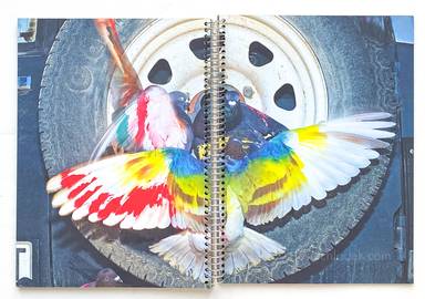 Sample page 6 for book "Cases, Ricardo – Ricardo Cases - Paloma al Aire" Sample page 6 for book "Cases, Ricardo – Ricardo Cases - Paloma al Aire"