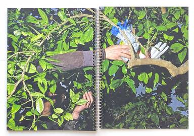 Sample page 4 for book "Cases, Ricardo – Ricardo Cases - Paloma al Aire" Sample page 4 for book "Cases, Ricardo – Ricardo Cases - Paloma al Aire"