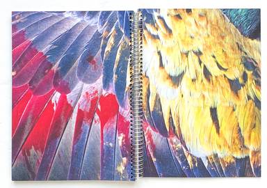 Sample page 1 for book "Cases, Ricardo – Ricardo Cases - Paloma al Aire" Sample page 1 for book "Cases, Ricardo – Ricardo Cases - Paloma al Aire"