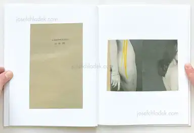 Sample page 8 for book "de Blauwer, Katrien – Katrien de Blauwer - You Could At Least Pretend to Like Yellow" Sample page 8 for book "de Blauwer, Katrien – Katrien de Blauwer - You Could At Least Pretend to Like Yellow"