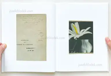 Sample page 7 for book "de Blauwer, Katrien – Katrien de Blauwer - You Could At Least Pretend to Like Yellow" Sample page 7 for book "de Blauwer, Katrien – Katrien de Blauwer - You Could At Least Pretend to Like Yellow"