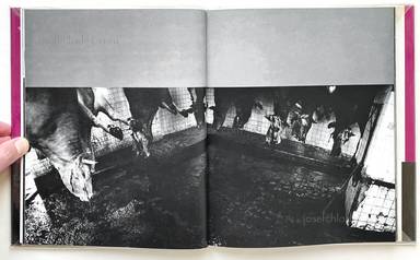 Sample page 5 for book  Masahisa Fukase – Homo Ludence (深瀬 昌久 遊戯  映像の現代4)