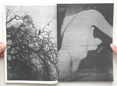 Sample page 13 for book "Dede, Dimitra – Dimitra Dede - Metaphors" Sample page 13 for book "Dede, Dimitra – Dimitra Dede - Metaphors"