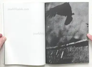 Sample page 6 for book "Dede, Dimitra – Dimitra Dede - Metaphors" Sample page 6 for book "Dede, Dimitra – Dimitra Dede - Metaphors"