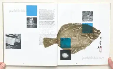 Sample page 12 for book "Unbekannt – Grasso’s Machinefabrieken NV - 100 jaar Grasso / 100 années Grasso / 100 Jahre Grasso" Sample page 12 for book "Unbekannt – Grasso’s Machinefabrieken NV - 100 jaar Grasso / 100 années Grasso / 100 Jahre Grasso"