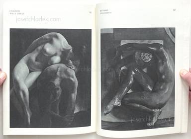 Sample page 21 for book Daniel Masclet – NUS - La Beauté de la Femme