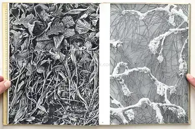 Sample page 19 for book "Steinert, Otto – Otto Steinert - Subjektive Fotografie - Ein Bildband moderner Fotografie" Sample page 19 for book "Steinert, Otto – Otto Steinert - Subjektive Fotografie - Ein Bildband moderner Fotografie"