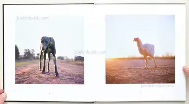 Sample page 16 for book "Sanguinetti, Alessandra – Alessandra Sanguinetti - On The Sixth Day" Sample page 16 for book "Sanguinetti, Alessandra – Alessandra Sanguinetti - On The Sixth Day"