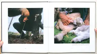 Sample page 15 for book "Sanguinetti, Alessandra – Alessandra Sanguinetti - On The Sixth Day" Sample page 15 for book "Sanguinetti, Alessandra – Alessandra Sanguinetti - On The Sixth Day"