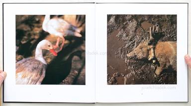 Sample page 4 for book  Alessandra Sanguinetti – On The Sixth Day