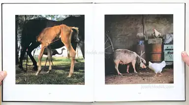 Sample page 12 for book "Sanguinetti, Alessandra – Alessandra Sanguinetti - On The Sixth Day" Sample page 12 for book "Sanguinetti, Alessandra – Alessandra Sanguinetti - On The Sixth Day"