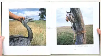 Sample page 9 for book "Sanguinetti, Alessandra – Alessandra Sanguinetti - On The Sixth Day" Sample page 9 for book "Sanguinetti, Alessandra – Alessandra Sanguinetti - On The Sixth Day"