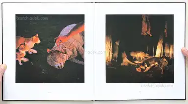 Sample page 6 for book "Sanguinetti, Alessandra – Alessandra Sanguinetti - On The Sixth Day" Sample page 6 for book "Sanguinetti, Alessandra – Alessandra Sanguinetti - On The Sixth Day"