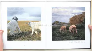 Sample page 2 for book "Sanguinetti, Alessandra – Alessandra Sanguinetti - On The Sixth Day" Sample page 2 for book "Sanguinetti, Alessandra – Alessandra Sanguinetti - On The Sixth Day"