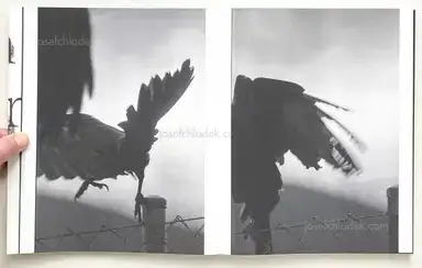 Sample page 17 for book "Van de Voorde, Wouter – Wouter Van de Voorde - Death is not here" Sample page 17 for book "Van de Voorde, Wouter – Wouter Van de Voorde - Death is not here"