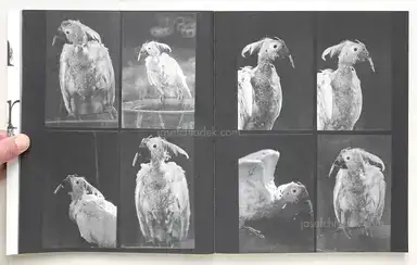 Sample page 16 for book "Van de Voorde, Wouter – Wouter Van de Voorde - Death is not here" Sample page 16 for book "Van de Voorde, Wouter – Wouter Van de Voorde - Death is not here"