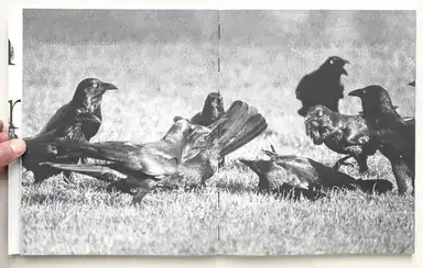 Sample page 13 for book "Van de Voorde, Wouter – Wouter Van de Voorde - Death is not here" Sample page 13 for book "Van de Voorde, Wouter – Wouter Van de Voorde - Death is not here"