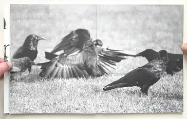 Sample page 12 for book "Van de Voorde, Wouter – Wouter Van de Voorde - Death is not here" Sample page 12 for book "Van de Voorde, Wouter – Wouter Van de Voorde - Death is not here"