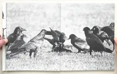 Sample page 11 for book "Van de Voorde, Wouter – Wouter Van de Voorde - Death is not here" Sample page 11 for book "Van de Voorde, Wouter – Wouter Van de Voorde - Death is not here"