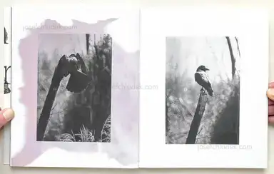 Sample page 3 for book "Van de Voorde, Wouter – Wouter Van de Voorde - Death is not here" Sample page 3 for book "Van de Voorde, Wouter – Wouter Van de Voorde - Death is not here"