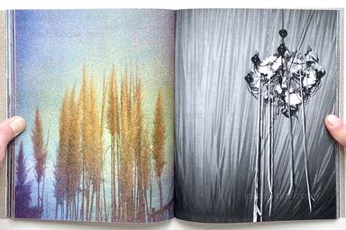 Sample page 6 for book "Fiorito, Mauro – Mauro Fiorito - The night face up" Sample page 6 for book "Fiorito, Mauro – Mauro Fiorito - The night face up"