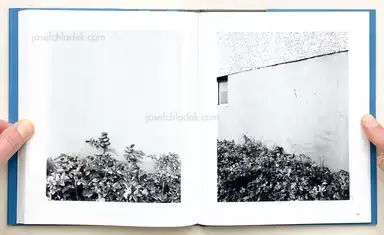 Sample page 3 for book "Schmidt, Michael – Michael Schmidt - 89/90" Sample page 3 for book "Schmidt, Michael – Michael Schmidt - 89/90"