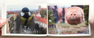 Sample page 15 for book "Innocences – Innocences - What The Fuck!" Sample page 15 for book "Innocences – Innocences - What The Fuck!"